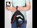 Truelove Uitra Light Safety Pet Harness Small and Medium Large and