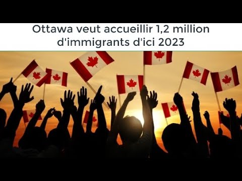 Ottawa veut accueillir 1,2 million d'immigrants d'ici 2023