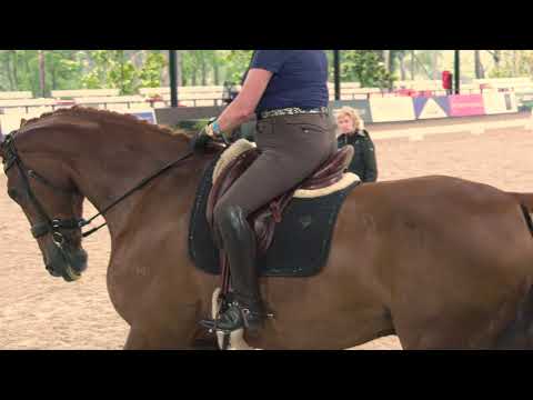 Part 4 of Excellence in Coaching with Rozzie Ryan and Kerry Mack riding Mayfield Limelight