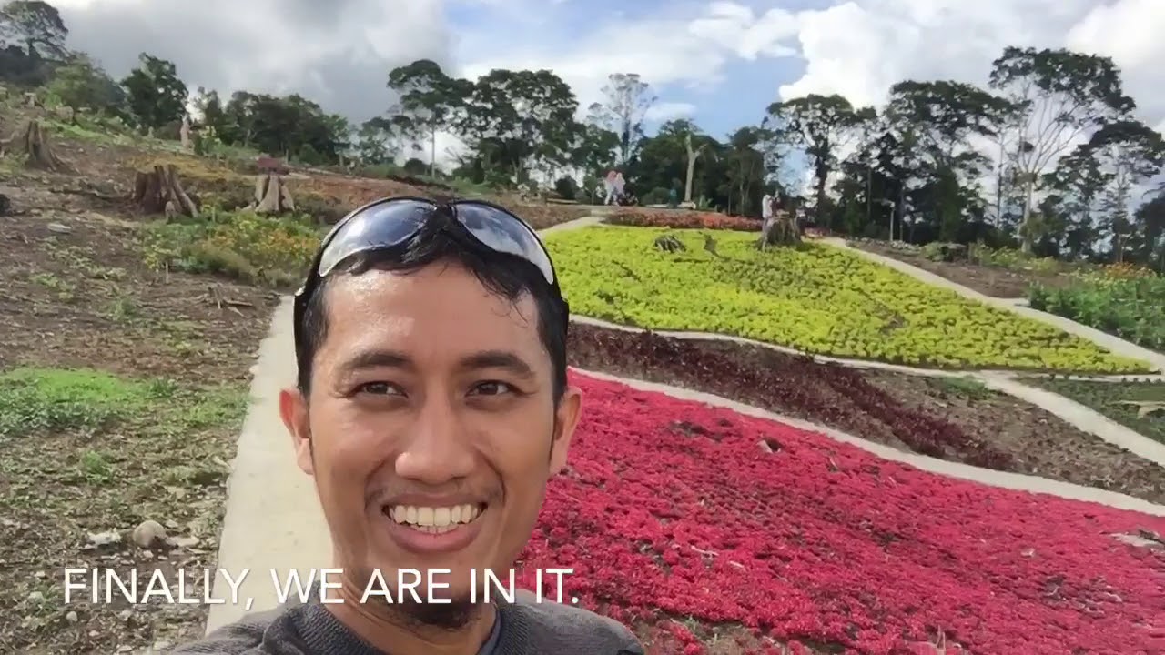 Kebun Bunga Puncak Tonang Part 1 Kebun Bunga Puncak Tonang Part 1