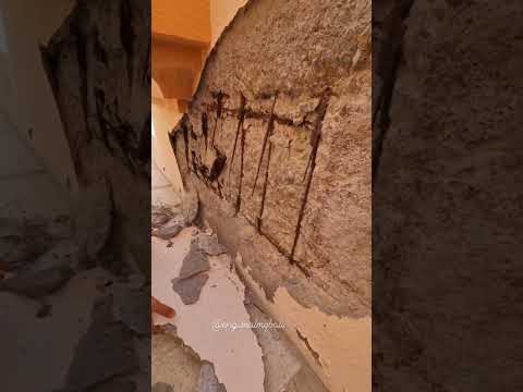 تأثير الرطوبة العالية