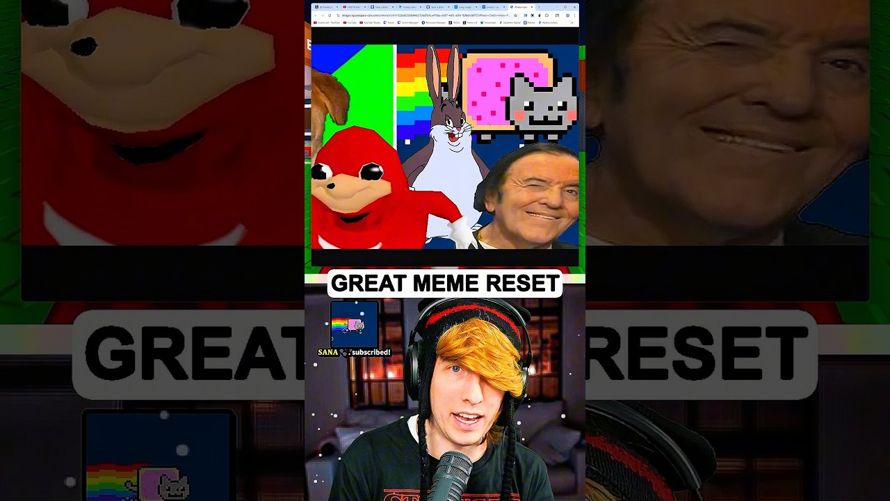 THE GREAT MEME RESET FAILED...