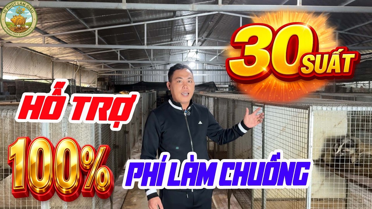 🔥 30 SUẤT DUY NHẤT: HỖ TRỢ 100% CHUỒNG TRẠI NUÔI CHỒN MỐC |10 PHÚT LÀM GIÀU