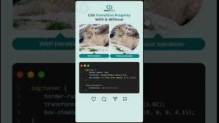 CSS Transition Property With & Without