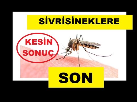 Video: Ülkedeki Sivrisineklerden Nasıl Kurtulur?
