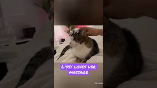 #shorts #lissy #shortvideo #lustigekatzenvideos #katze #cat #funnycats #funnycatsvideos