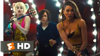 Birds of Prey (2020) - Team Up! Scene (6/10) | Movieclips