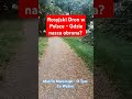Dron z Rosji w Polsce - Gdzie nasza obrona? #dron #ukraina #Rosja #osiny #tusk #kosiniak #kamysz