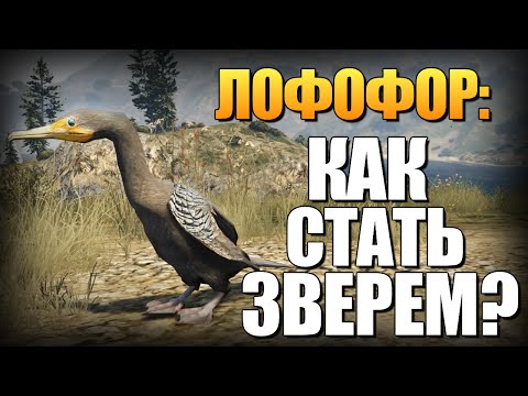 видео: GTA 5 - Как Играть за Животных? (Лофофоры) #8