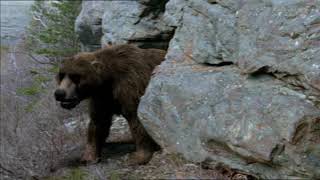 Prehistoric Park Soundtrack 07 Cave Bear Chase