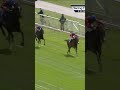 Lilt remains unbeaten at York 👀