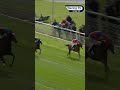 Lilt remains unbeaten at York 👀