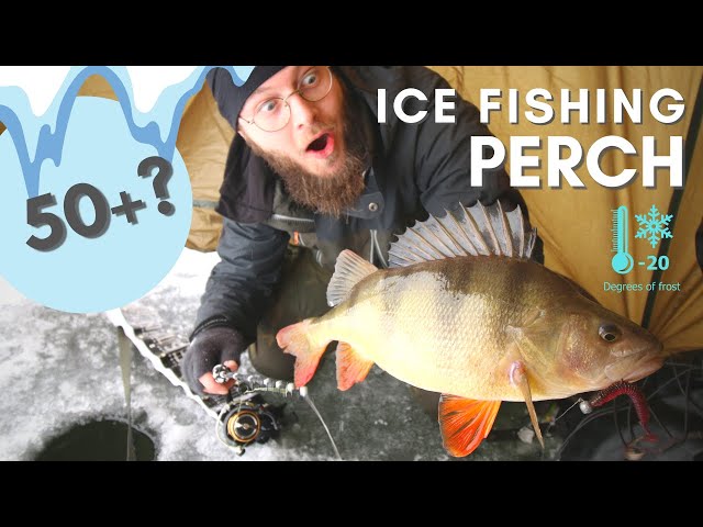 Fishing Ice Perch - In-Fisherman