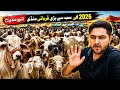 🔥 قربانی میں سب سے بڑی غلطی؟ 😳 | جانور نہیں نیت دیکھی جاتی ہے!