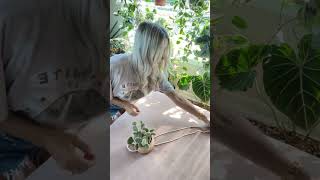 Plant hanger with only ONE KNOT! EasY DIY — will you try it?? 🪴