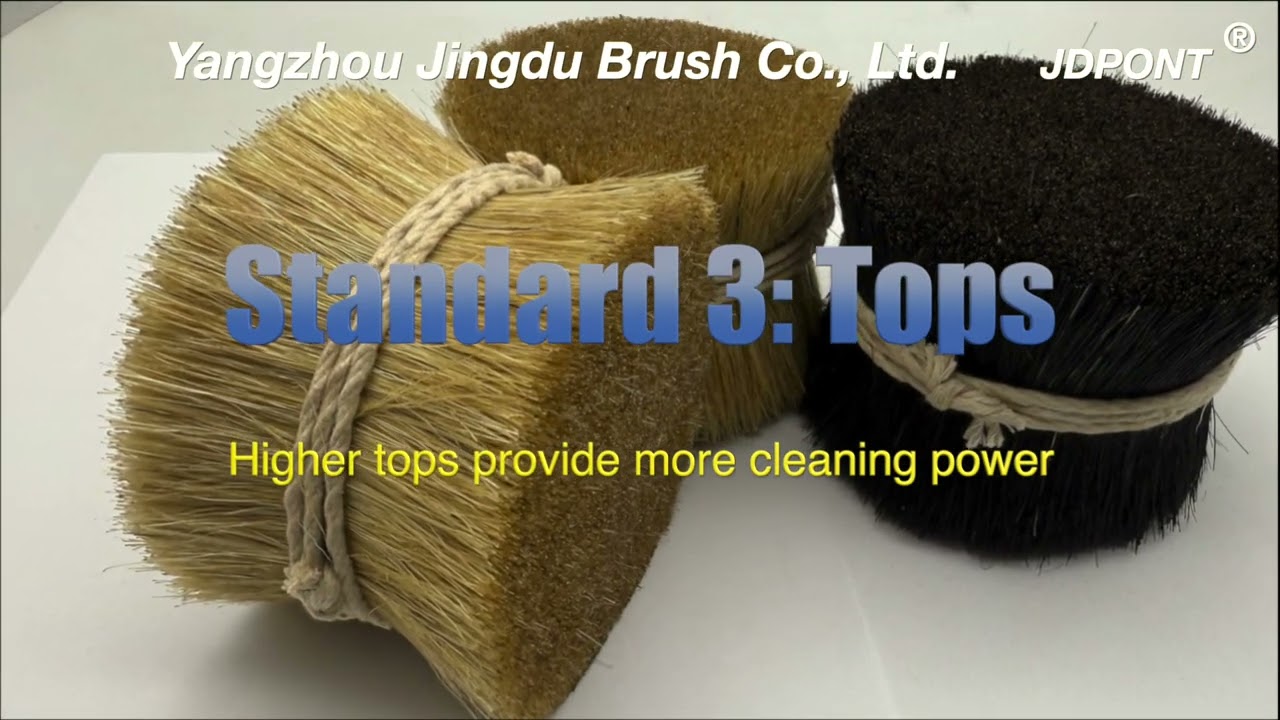 Pig Bristle for Climbing Brush and Clean Brush