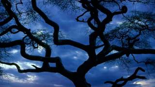 Serengeti Moon ~ Dan Fogelberg [CC] 59th chords