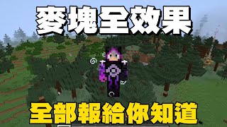 Minecraft 32種狀態效果一口氣完整介紹 