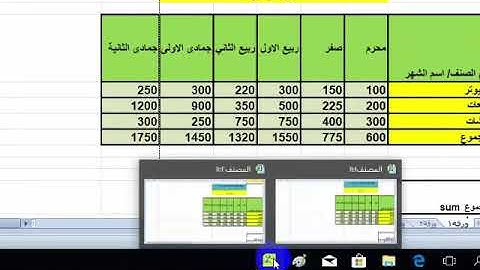 شرح تبويب  عرض في الاكسل 2010 الواجهه العربية
