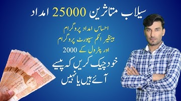 How to Check Ehsas Imdad Program Balance Online | Technical Gadi