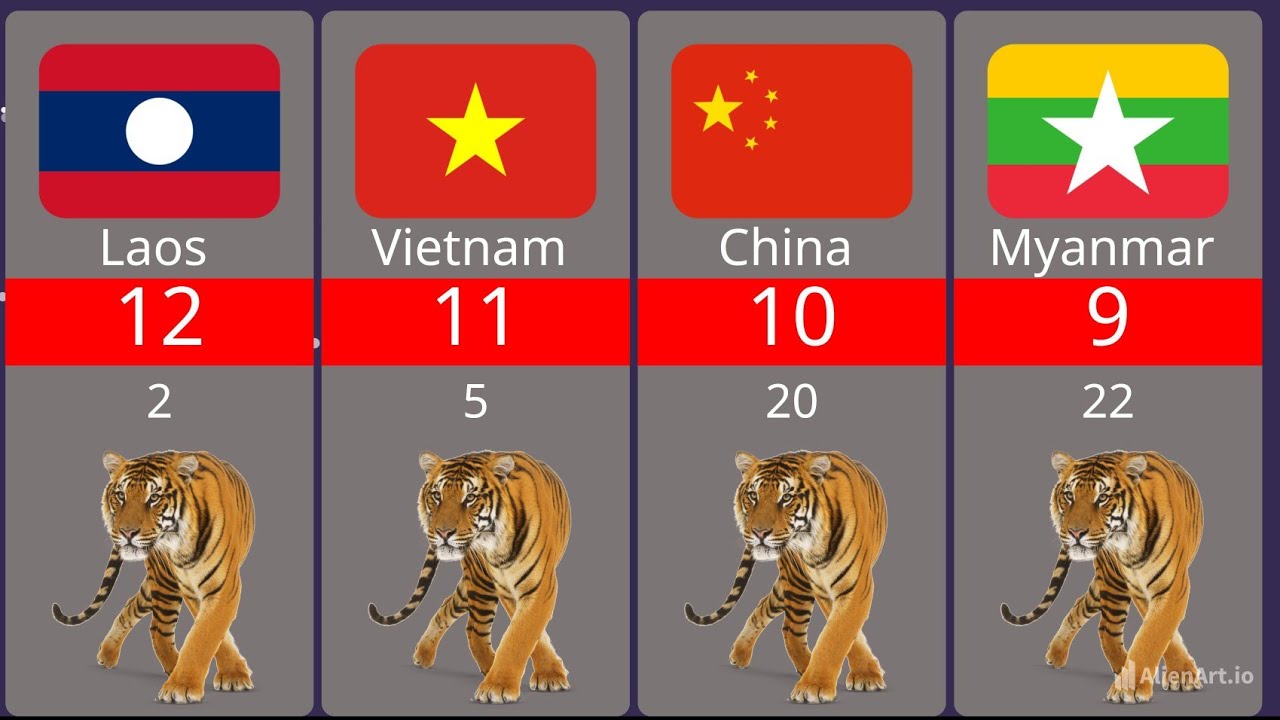 Top Countries with Most Tigers 2024