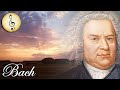 Bach: Cello Suite No. 1 in G major, BWV 1007 - I.Prelude - Famous Baroque Music