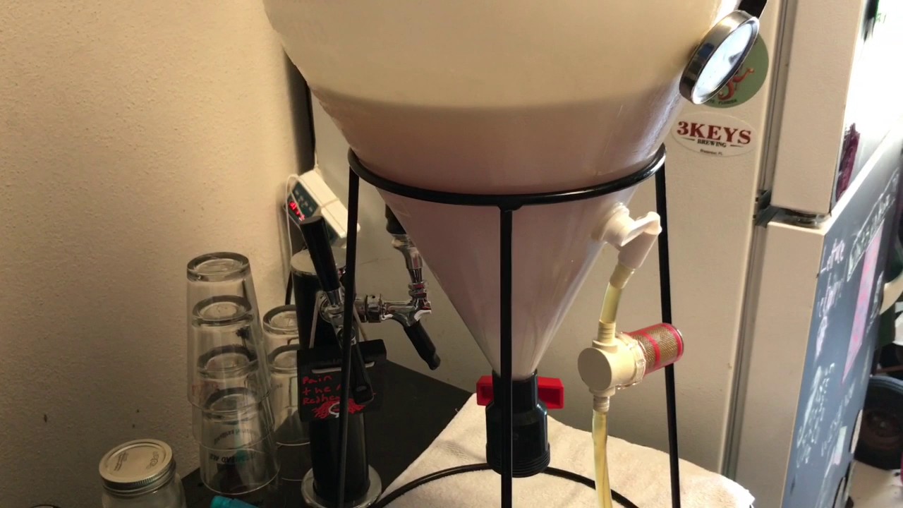 Using the Bouncer Inline Filter to Rack After Dry Hopping Bagless YouTube