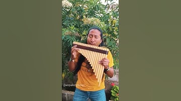 Thumbnail of Jeanette - ¿Porque te vas? [Pan Flute]