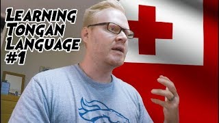 Learn to Speak Tongan Like a Pro (Lea fakatonga) #1