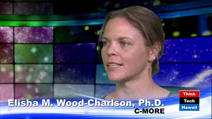 Oceans of Microbes with Allison Fong and Elisha M ...