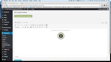 Divi Footer Editor 1.1 overview