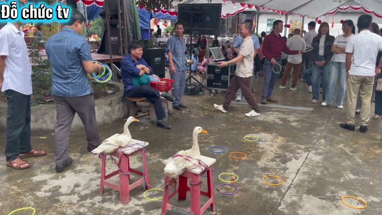 Hội đền tam ￼ thánh tổ chức trò chơi ném vòng vào cổ vịt ￼￼
