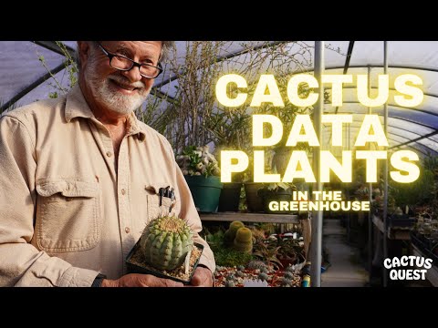 INTO THE GREENHOUSE OF A CACTUS LEGEND!
