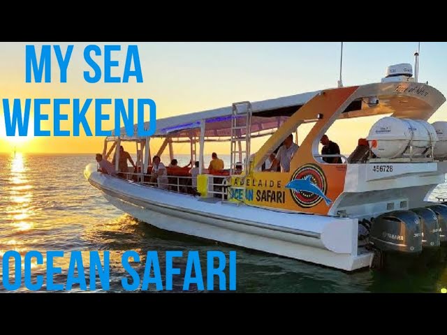 Kangaroo Island safari Adventure