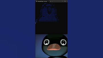Parrot dance in cmd #ascii #cmd #shorts #ytshorts #hack #parrot #dance #dancing #animation #animals