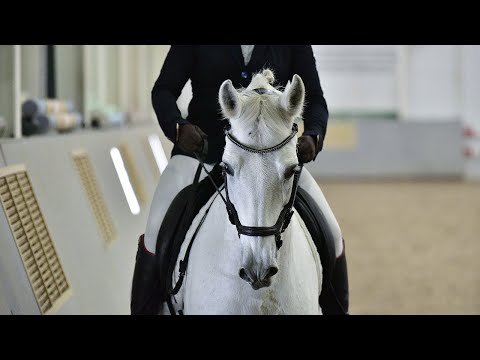 Новости КСК Нева. Выпуск 20/21