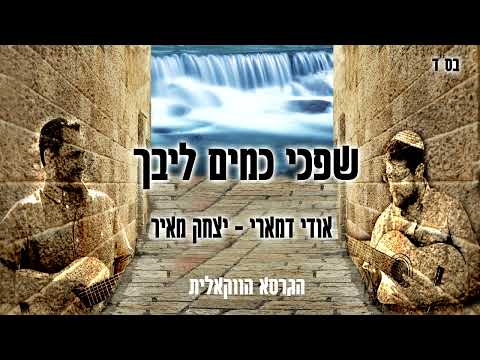 אודי דמארי ויצחק מאיר - שפכי כמים ליבך  (music prod. by udi damari)