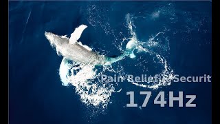 [174Hz] Pain Relief &amp; Security | 30 Min Healing Journey