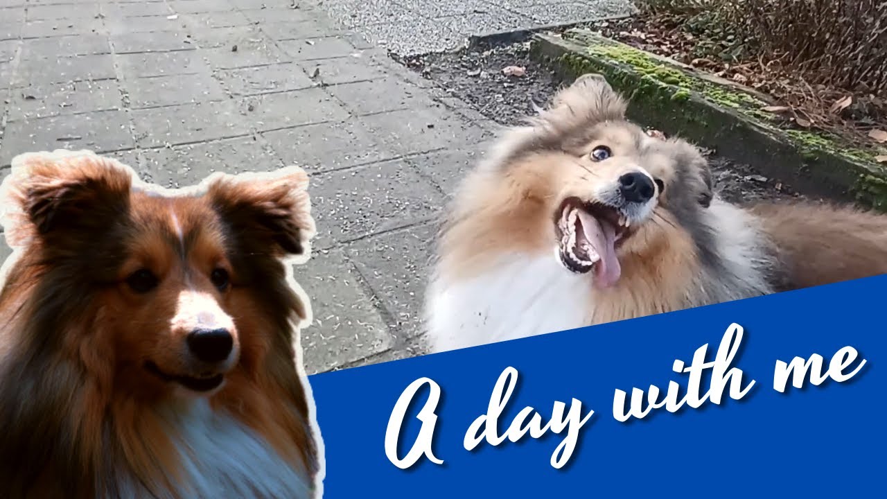 A good day in cold days