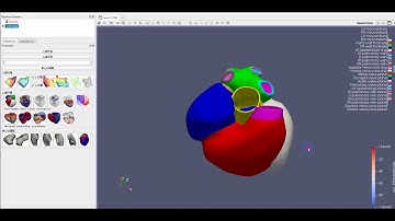 Fiber orientation estimation and Myocardial deformation simulation