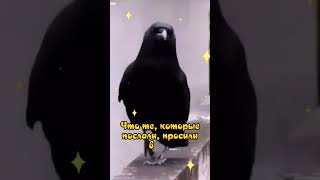 Летящая Походка