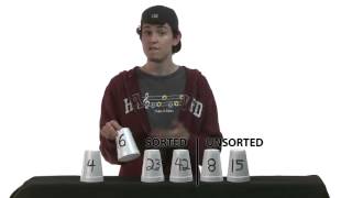 5 Insertion Sort 9 min