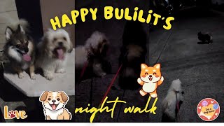 A Night Walk for SACHI and KOJI🐕💕