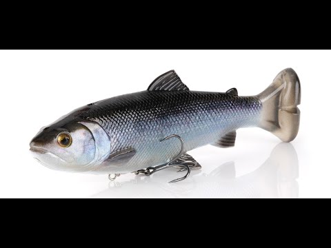サベージギア ラインスルートラウト 10インチ ダークトラウト サベージ ギアの3D ライン スルー トラウト 10インチ
