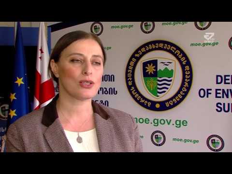 ბაღდათში საქართველოს „წითელი ნუსხით“ დაცული  არჩვი მოკლეს /MTAVAR/