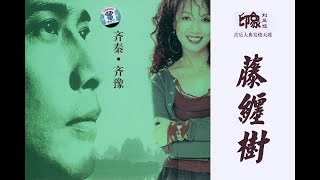 Video thumbnail of "齊豫 & 齊秦 - 藤纏樹（印象劉三姐主題曲）"