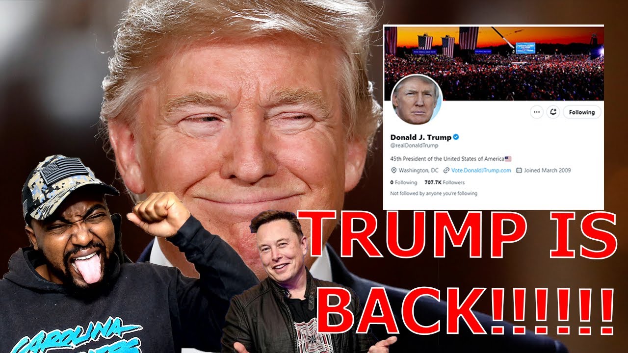 Elon Musk restores Donald Trump's Twitter account