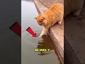 He Touched the Water… BIG Mistake!