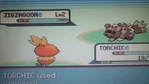 Pokemon Emerald Walkthrough Part 2