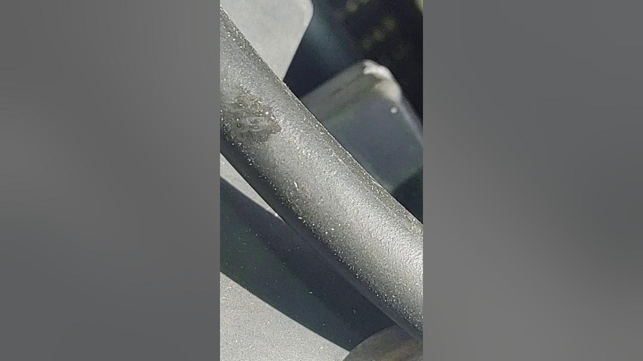 Automatic Spring Tensioner maintain timing (WR250R 2017) YouTube